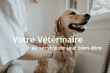 Clinique Vétérinaire de la Tangentielle